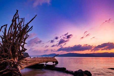 Exploring the Enchanting Andaman Islands: A Tropical Paradise Awaits