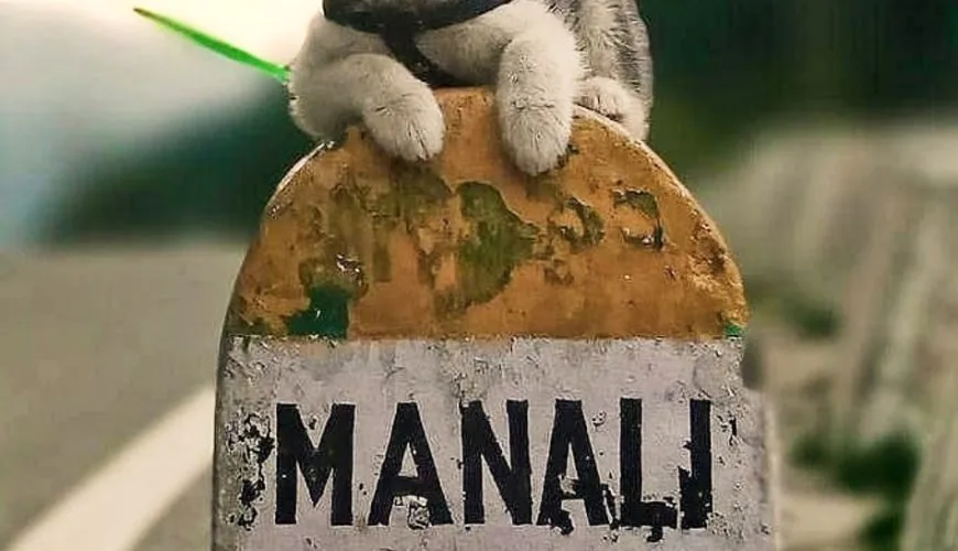 manali tour package