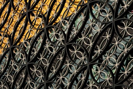 a close up of a metal fence with a building in the background