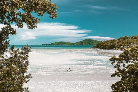 aerial photography of white sand beach during daytime