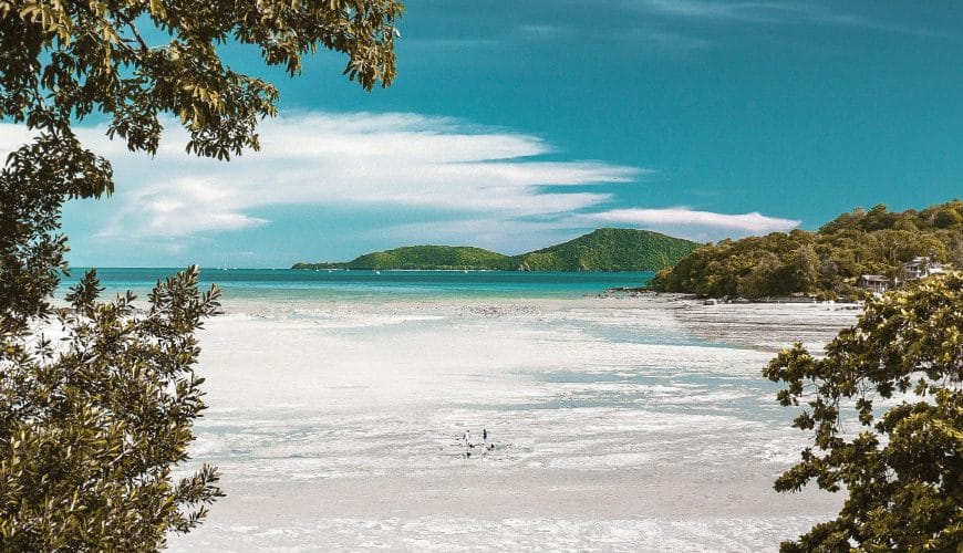 aerial photography of white sand beach during daytime