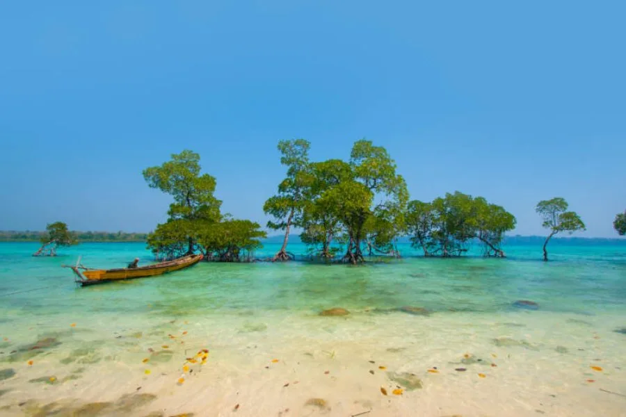 Andaman tour package