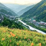 kullu manali kasol tour packages
