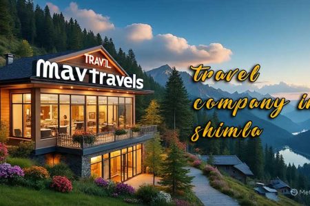 shimla tour agency